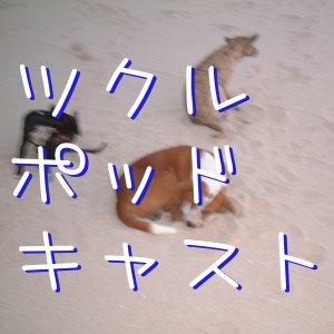 仮画像.jpg